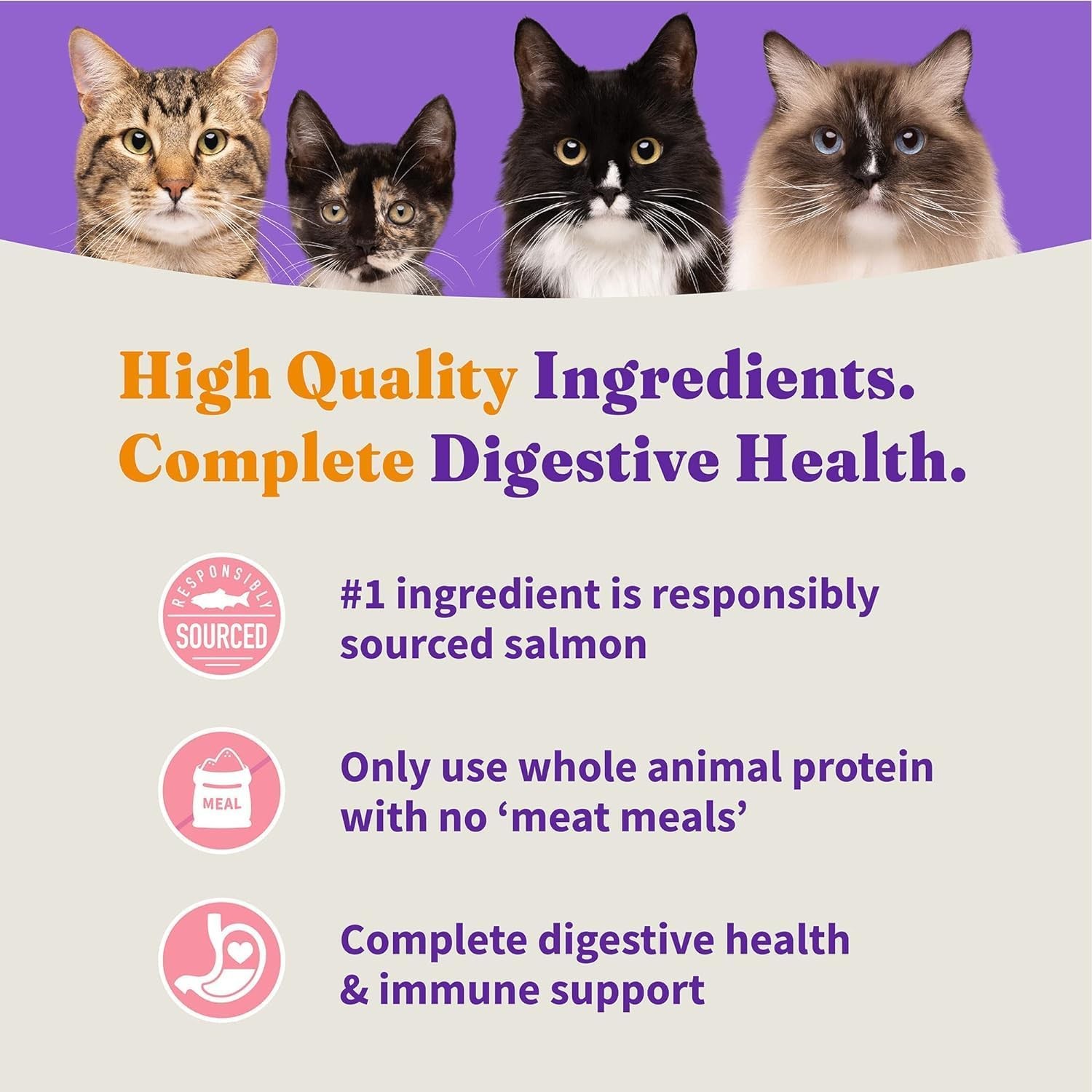 Holistic Indoor Cat Food Dry Grain Free Wild-caught Salmon & Whitefish Recipe