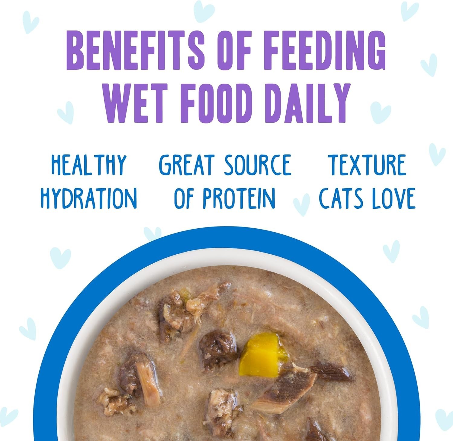 Wet Cat Food 5.5oz Can Pack of 8 Chicken Pumpkin Gravy All Life Stages
