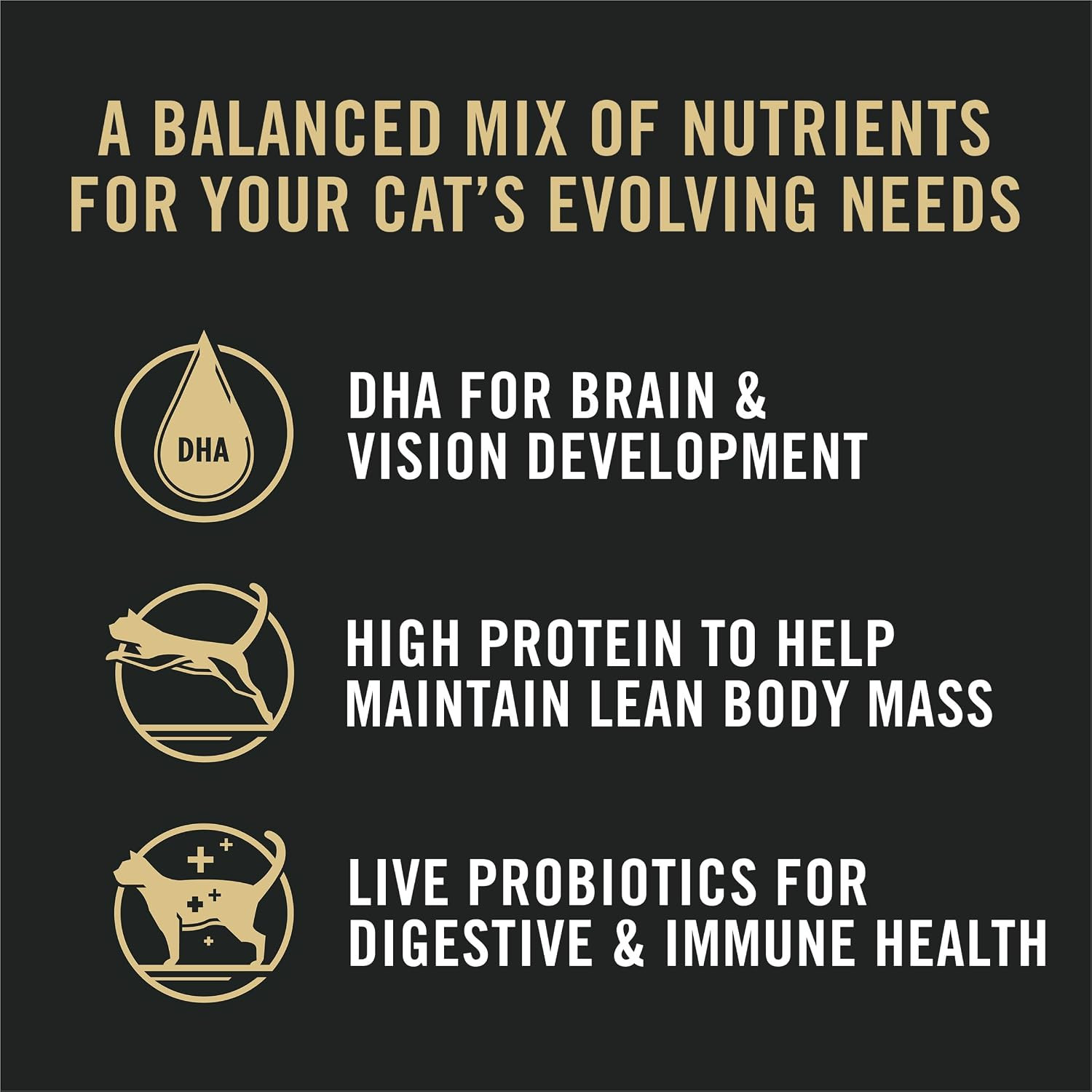 Purina Pro Plan All Life Stages High Protein Cat Food Chicken and Rice Dry