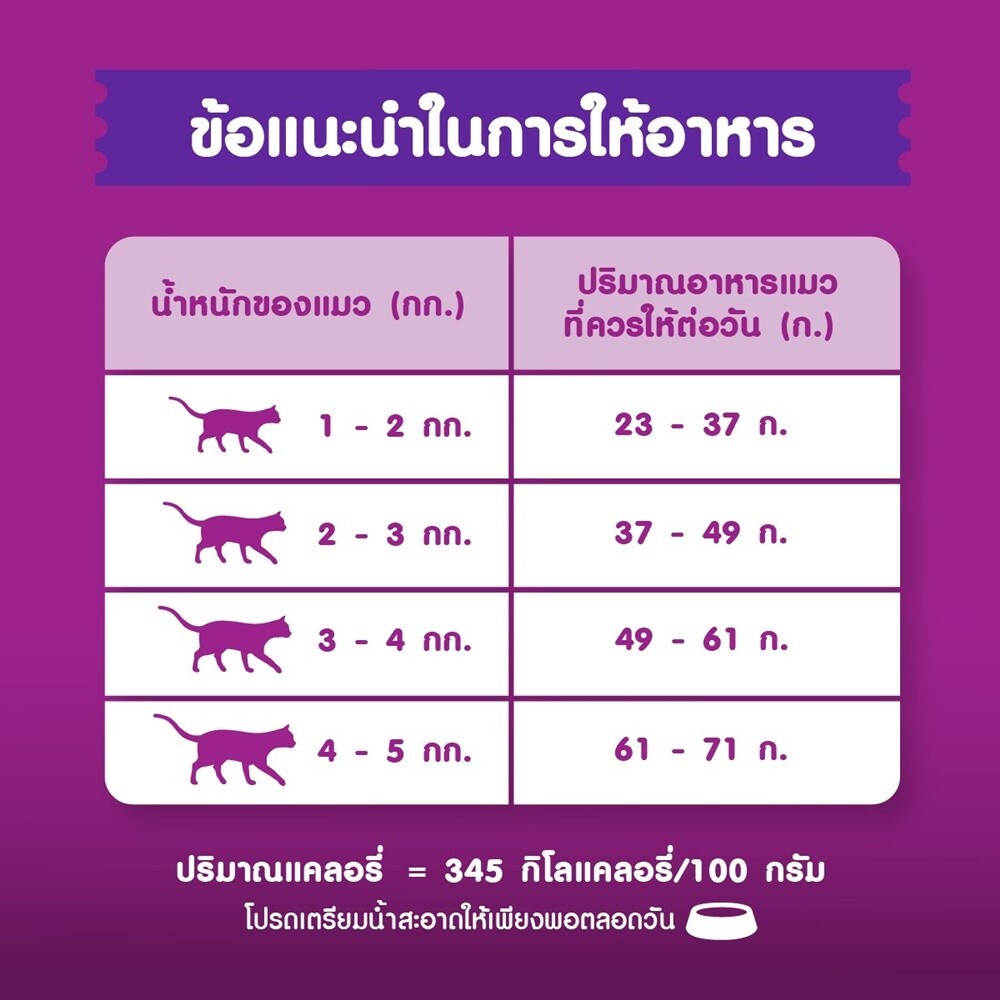 Whiskas Dry Food Senior Cat 7+ Years Mackerel Flavor 1.1 kg (2.425 lbs)