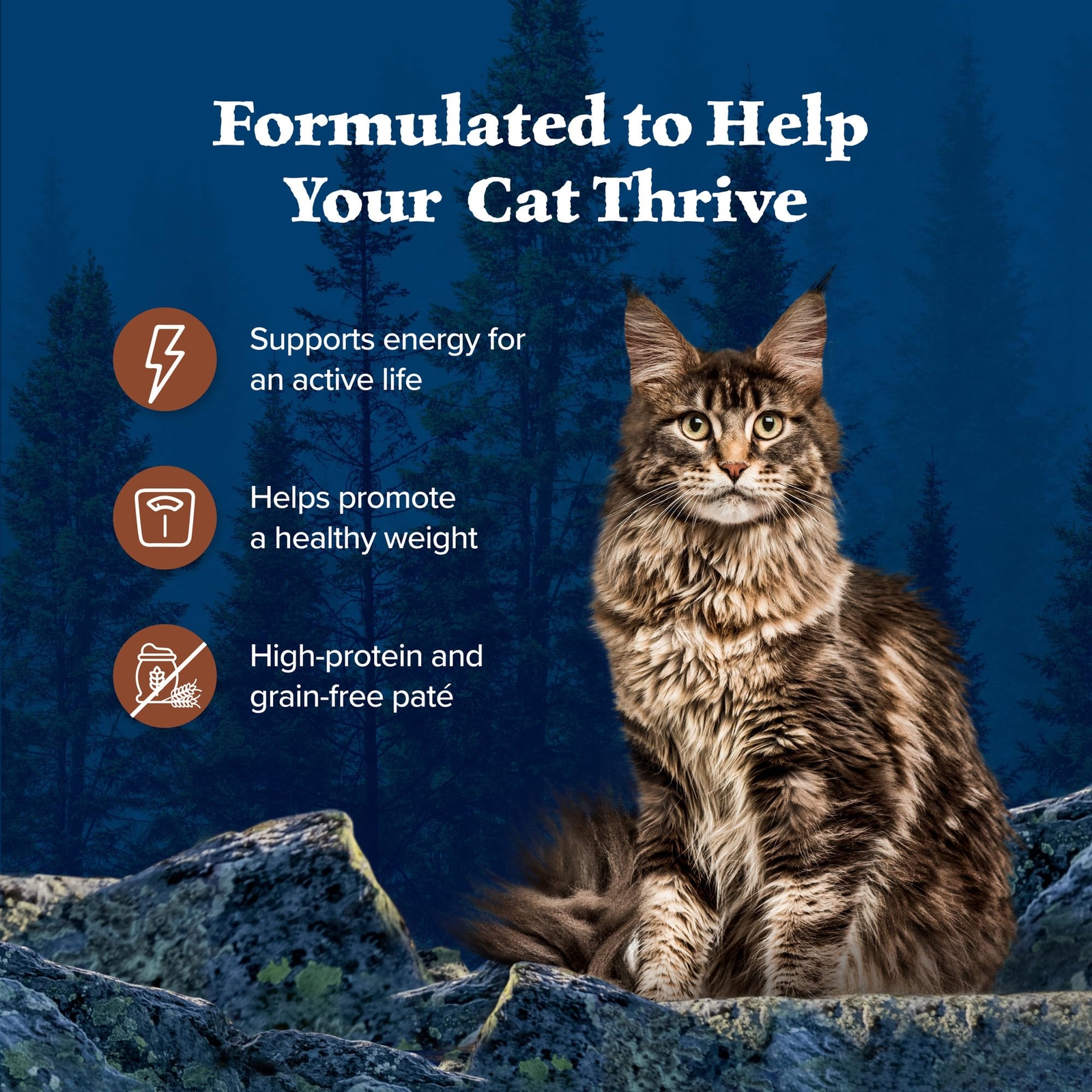 BLUE Wilderness Grain Free High Protein Turkey Wet Cat Food 24 Pack 5.5 oz