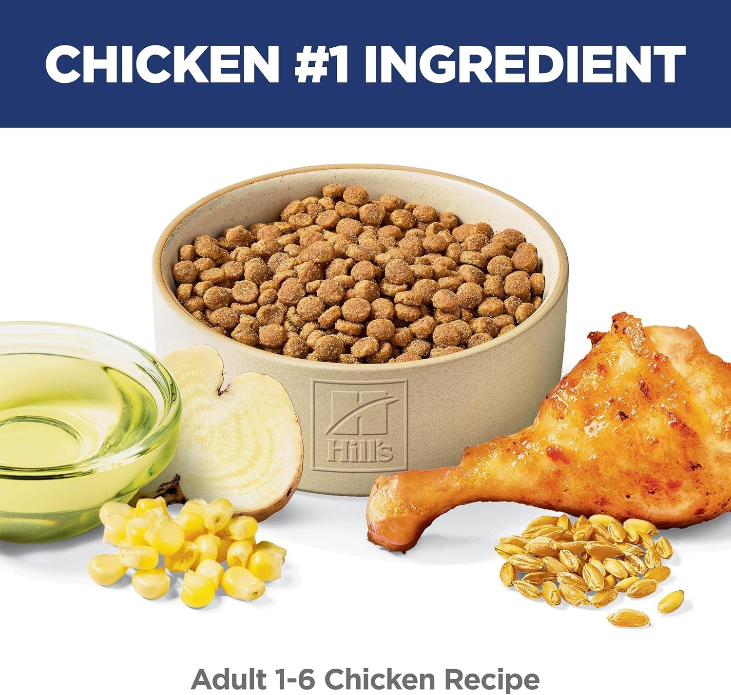 Adult 1-6 Dry Cat Food | Veterinarian Recommended, Chicken Recipe, 4 lb. Bag