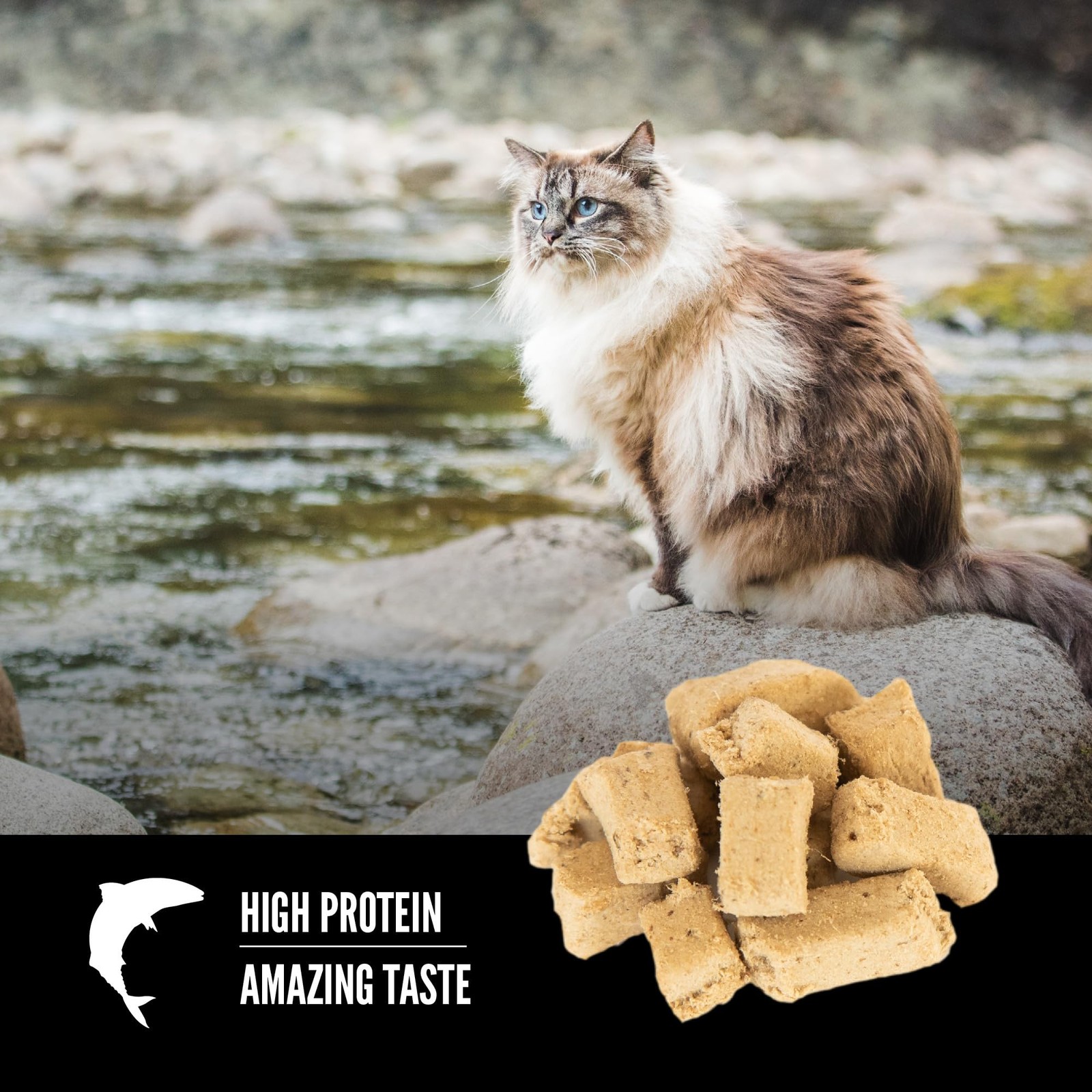 Orijen Six Fish Freeze Dried Cat Treats Grain Free High Protein 1.25 Ounce