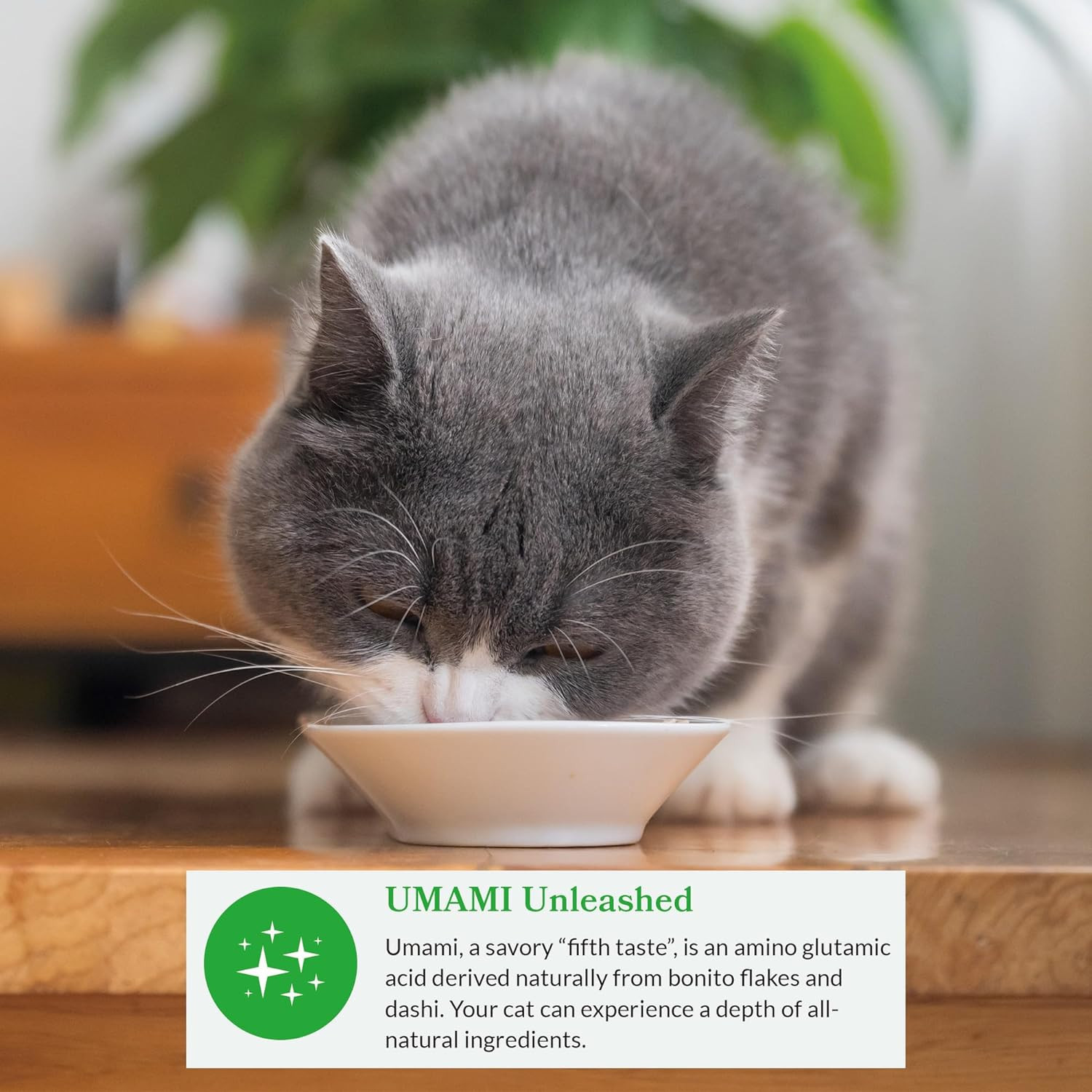 Dashi Delights for Cats, Shredded Chicken Side Dish with Bonito Flake Broth, Cat