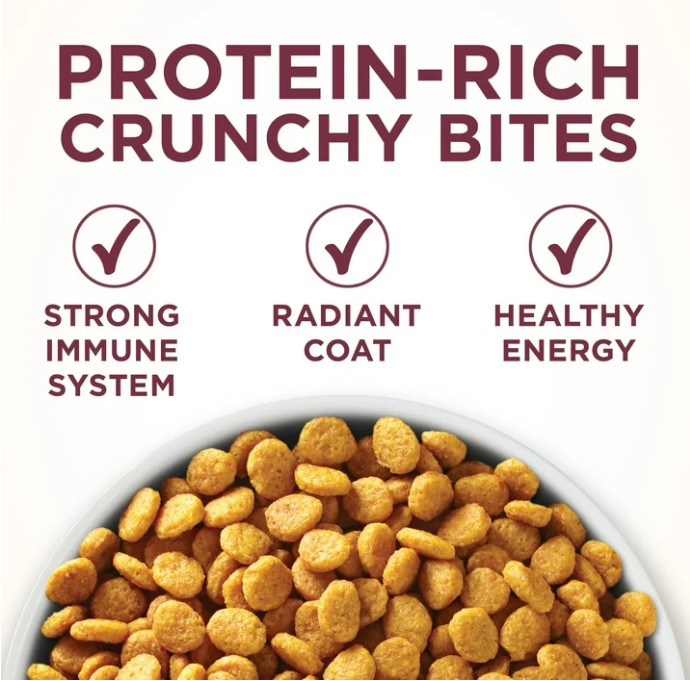 (2 pack)Purina ONE Plus, Uniary Tract Health Formula Dry Cat Food, Chicken 16 lb
