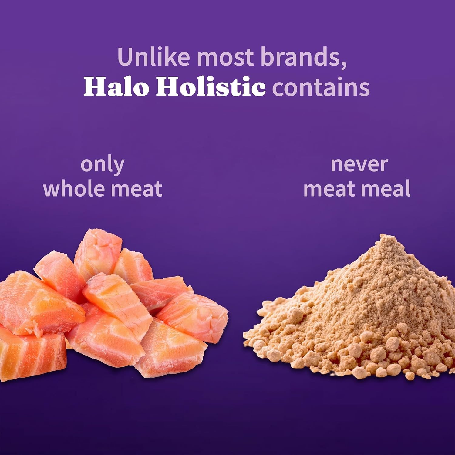 Holistic Indoor Cat Food Dry Grain Free Wild-caught Salmon & Whitefish Recipe