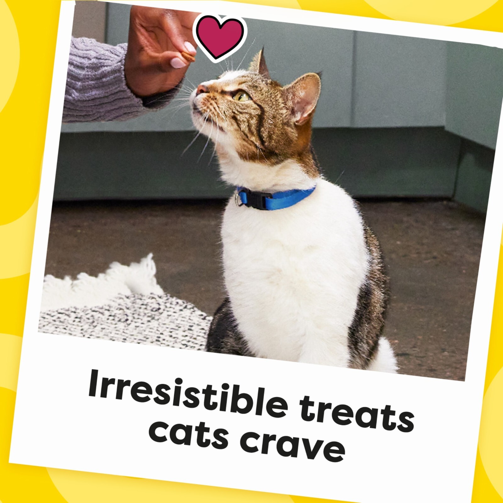 3 Tub TEMPTATIONS Classic Crunchy and Soft Cat Treats Tasty Chicken Flavor 30 oz