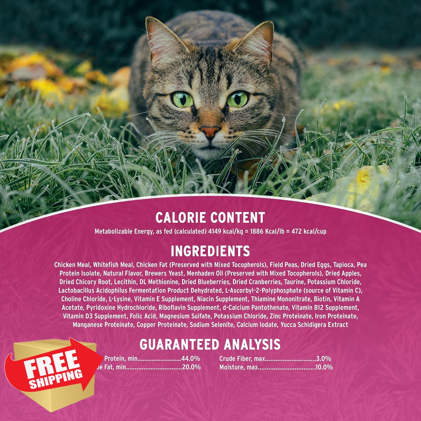 Annamaet Grain-Free Feline Formula Dry Cat Food, (Chicken and Fish), 12-lb Bag