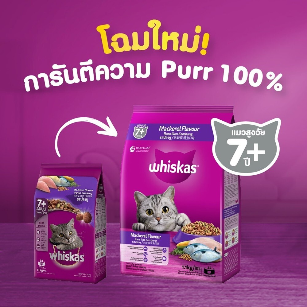 Whiskas Dry Food Senior Cat 7+ Years Mackerel Flavor 1.1 kg (2.425 lbs)