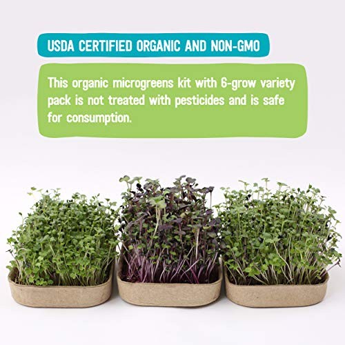 50041 DIY 6-Grow Variety Pack Organic Microgreens Kit, Indoor Gardening