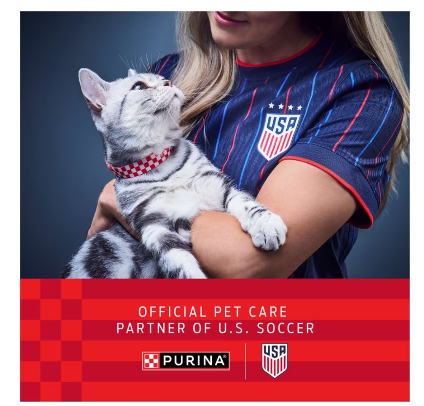 Purina ONE Plus, Indoor Advantage, Dry Cat Food, Turkey, 16 lb Bag
