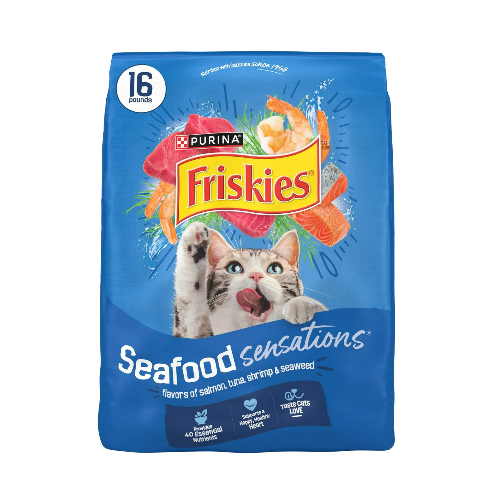 Friskies Dry Cat Food Seafood Sensations with Salmon Tuna and Shrimp Flavors 22
