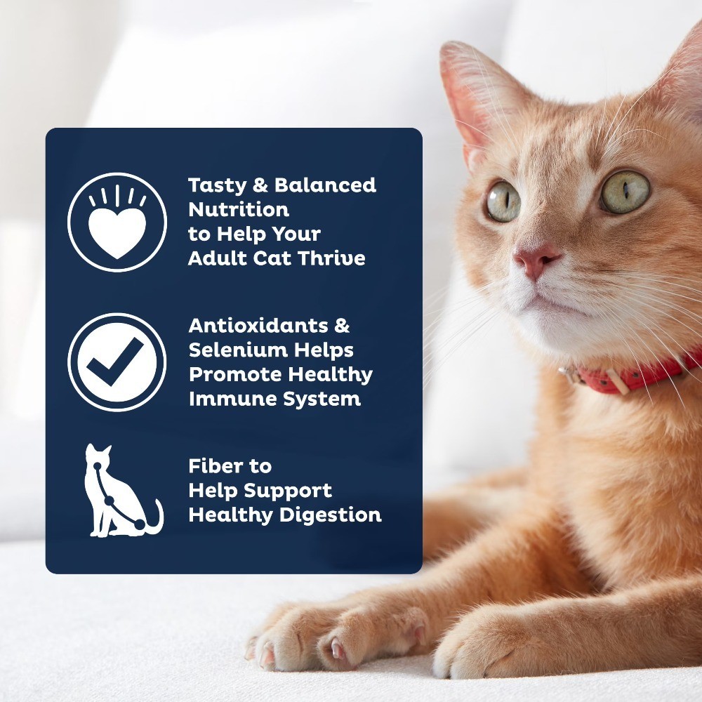 Dry Cat Food for Urinary Tract Health 15.5 lb Bag Premium Care Formula