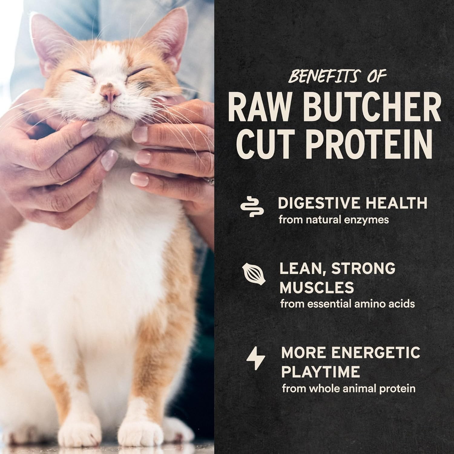 Vital Essentials Chicken Breast Cat Treats, 1 oz