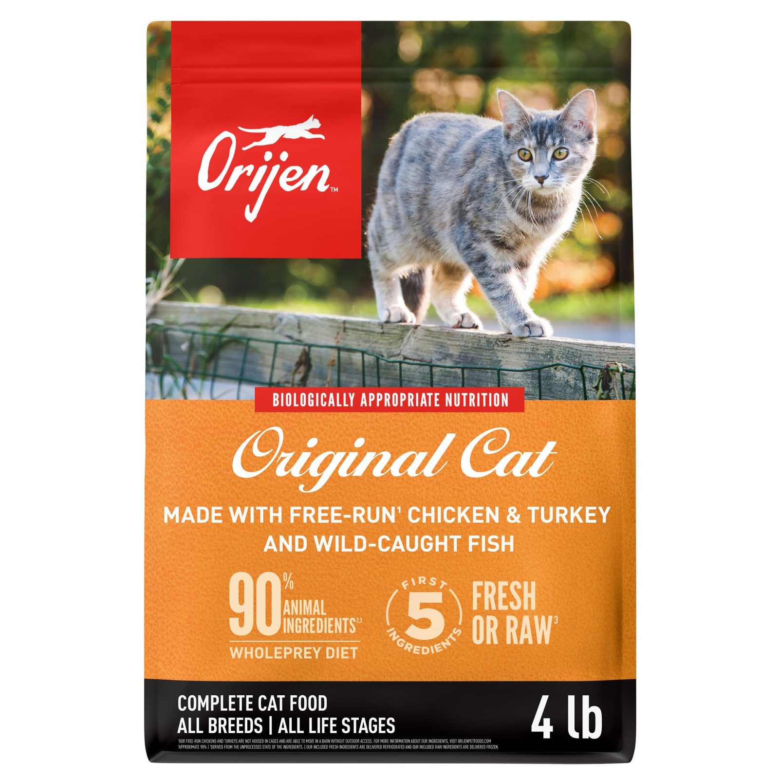 ORIJEN Grain Free High Protein Premium Dry Cat 4 Pound (Pack of 1), Orange