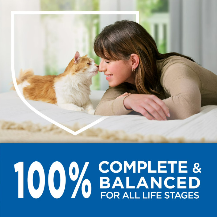 (2 pack) Purina Cat Chow Complete High Protein Dry Cat Food Real Chicken, 20 lb
