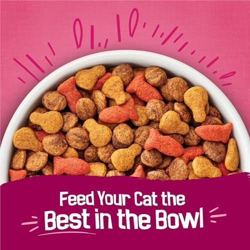 Purina Friskies Gravy Swirlers Dry Cat Food Flavors of Chicken, Salmon 3.15lb