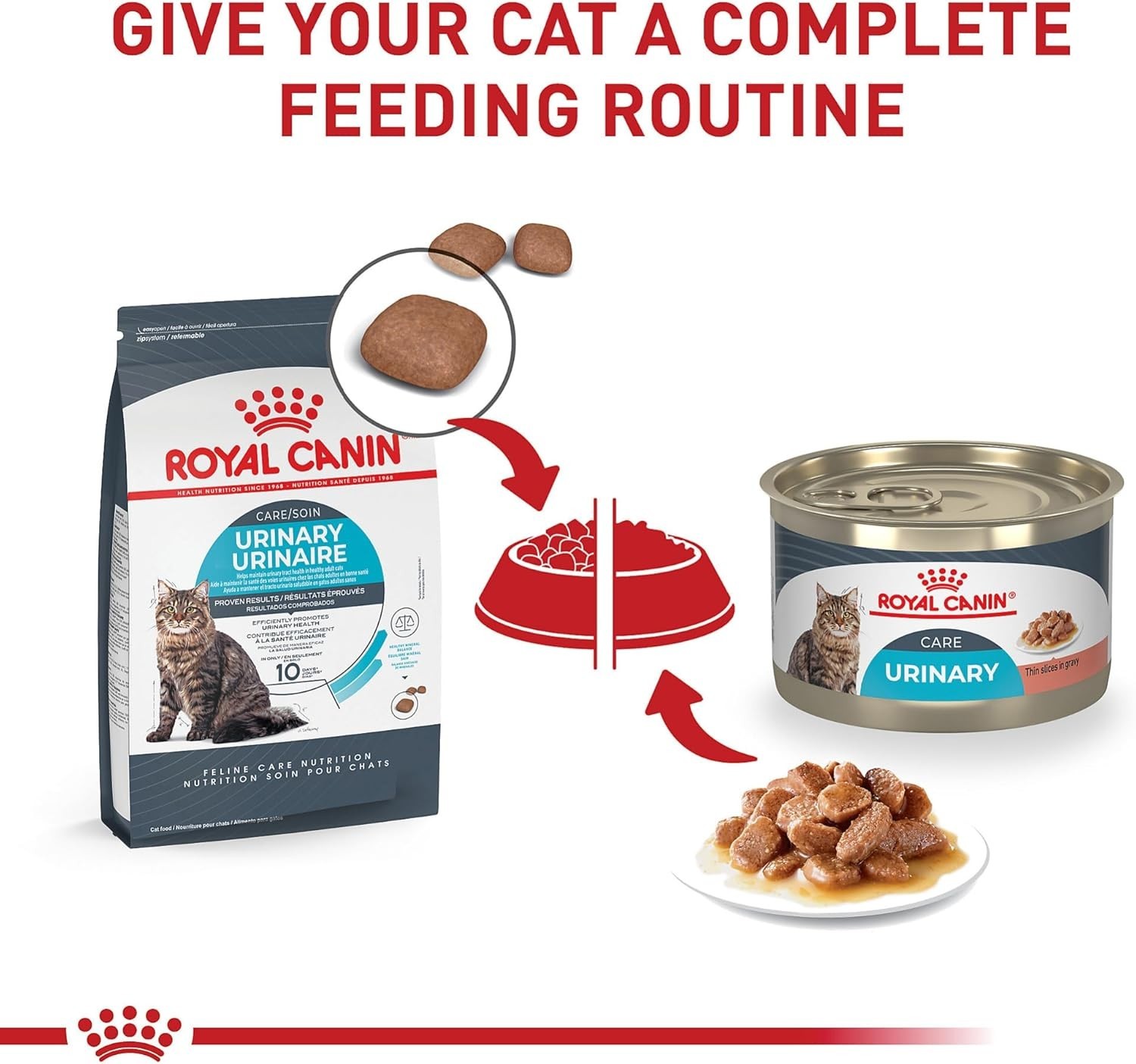 Royal Canin Feline Urinary Care Thin Slices in Gravy Wet Cat Food, 24 cans 5.1oz