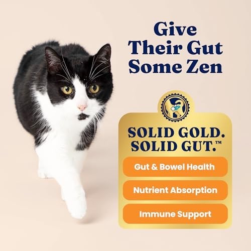 Grain-Free Chicken Dry Cat Food – Indoor Kibble for Sensitive Stomach & Hairball