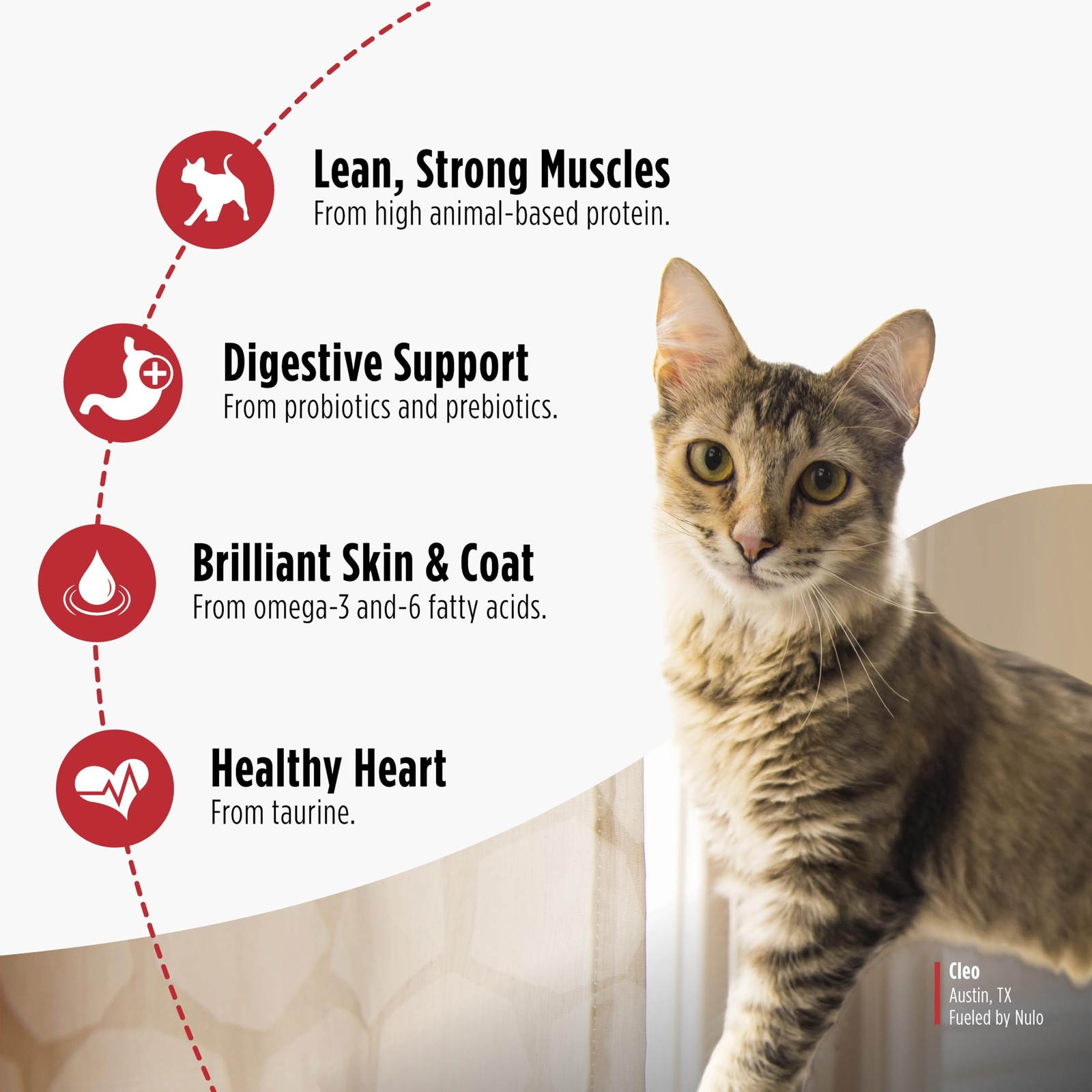 Nulo FreeStyle Dry Cat Food Indoor – Duck & Cod, High Protein Grain-Free Dry …