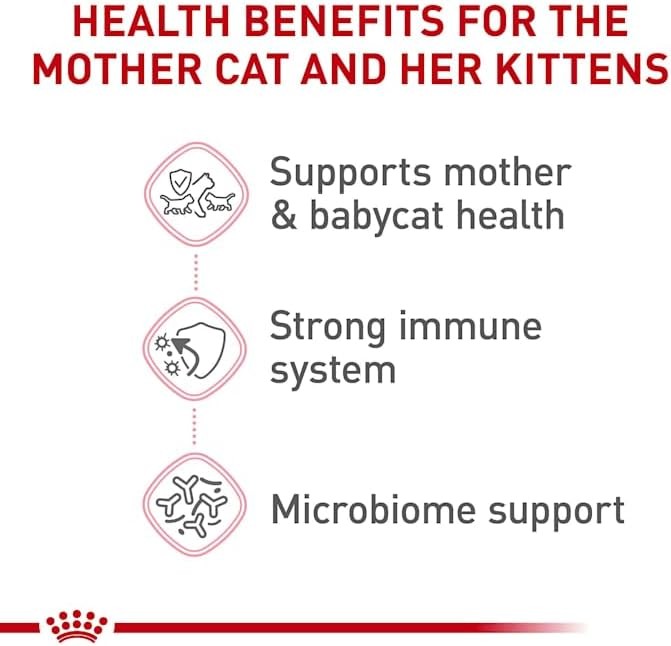 Royal Canin Feline Health Nutrition Mother & Babycat Dry 6 Pound (Pack of 1).