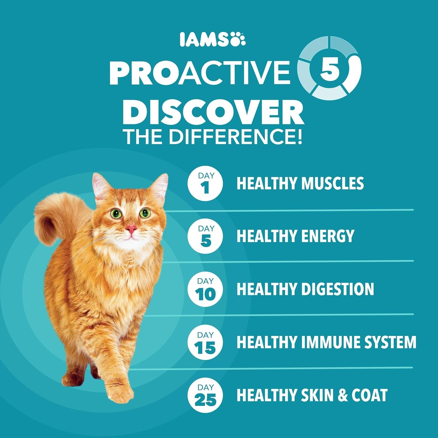 Iams Proactive Health Chicken And Turkey Dry Cat Food, 22 Lb Bag