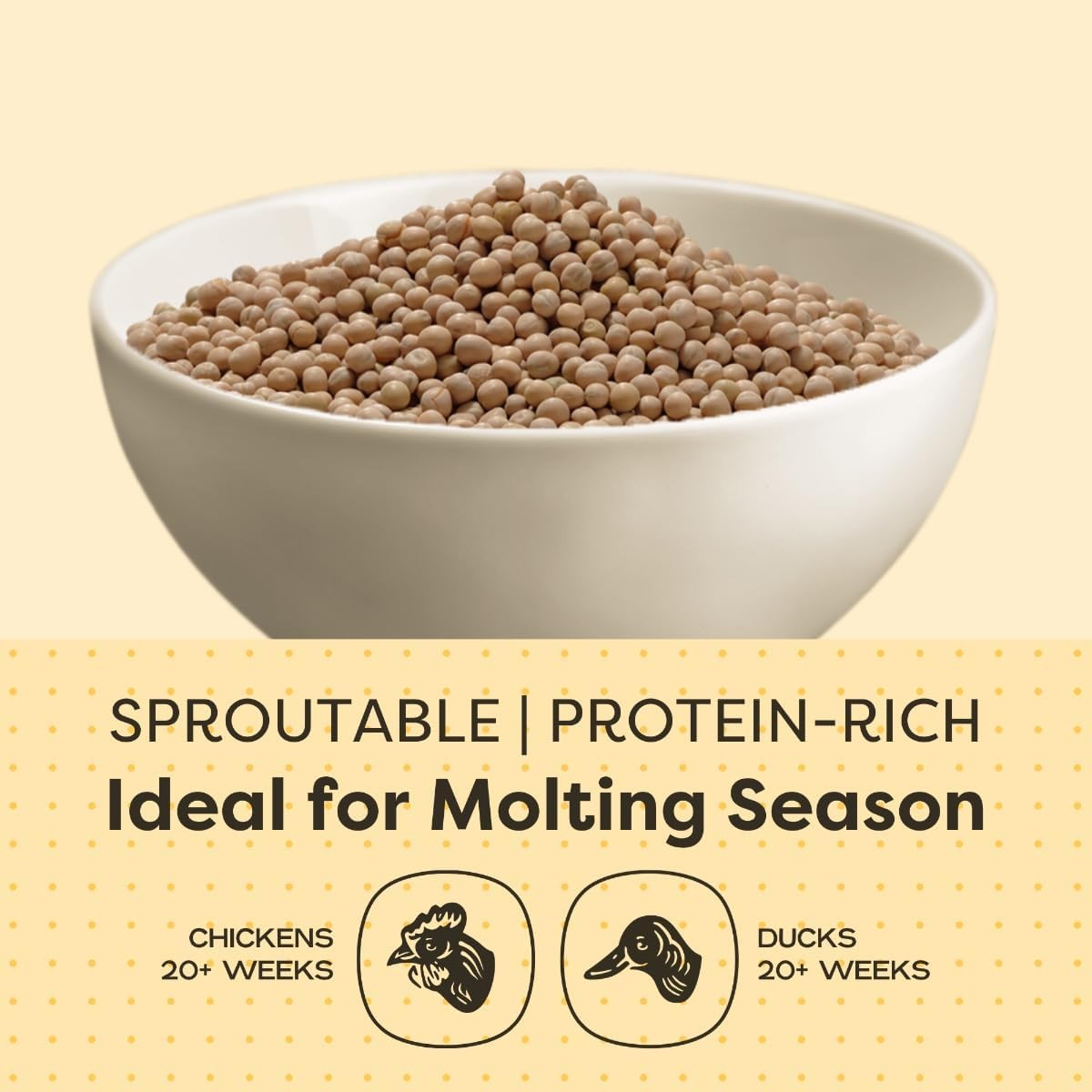 Scratch & Peck Feeds Peas Poultry & Livestock Grain 10 lb Pouch 20% Protein