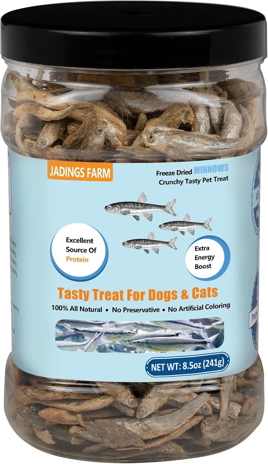 Minnows – 8.5 oz Freeze Dried – 100% Natural Premium Ounce (Pack of 1)