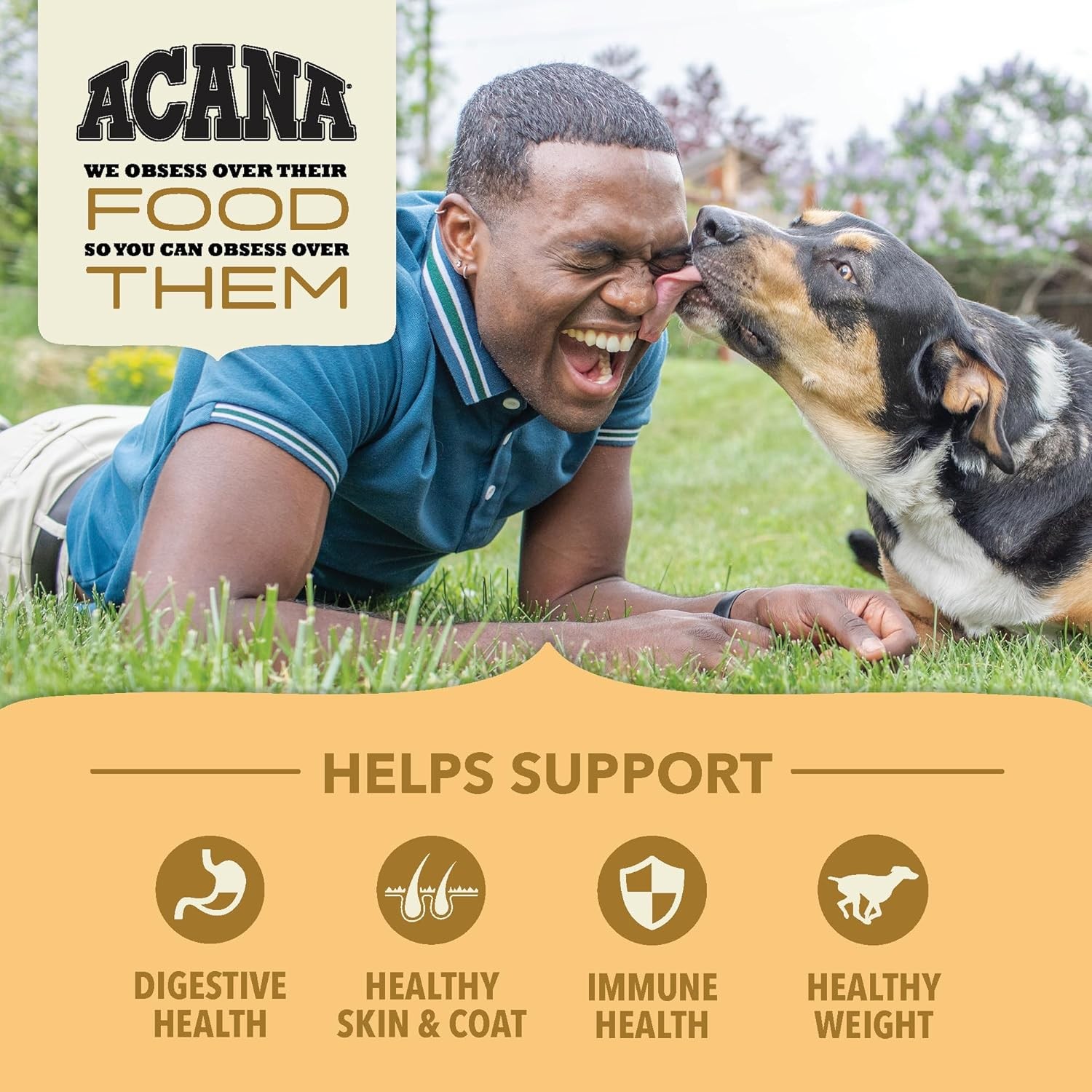 ACANA Wholesome Grains Dry Dog Food Free-Run Poultry & Grains Recipe 32lb Bag