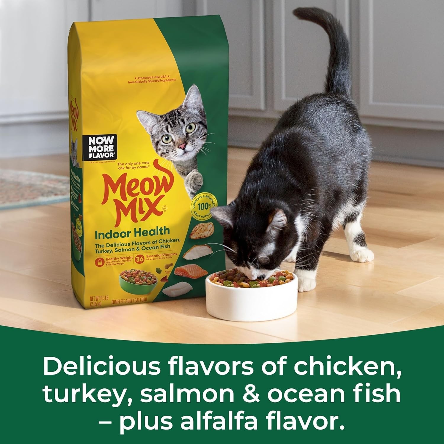 Balanced Nutrition Dry Cat Food, 6.3 lbs – Irresistible Flavor for Adults