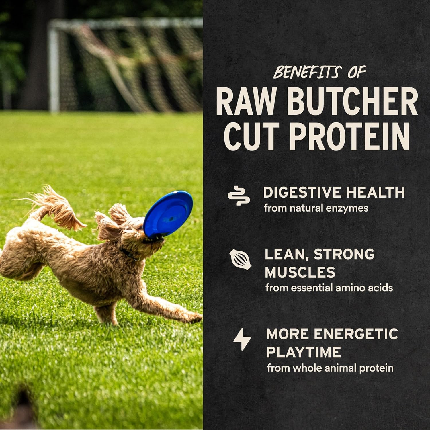 Freeze Dried Dog Treats | Chicken Breast, Single Ingredient | Premium Quality |