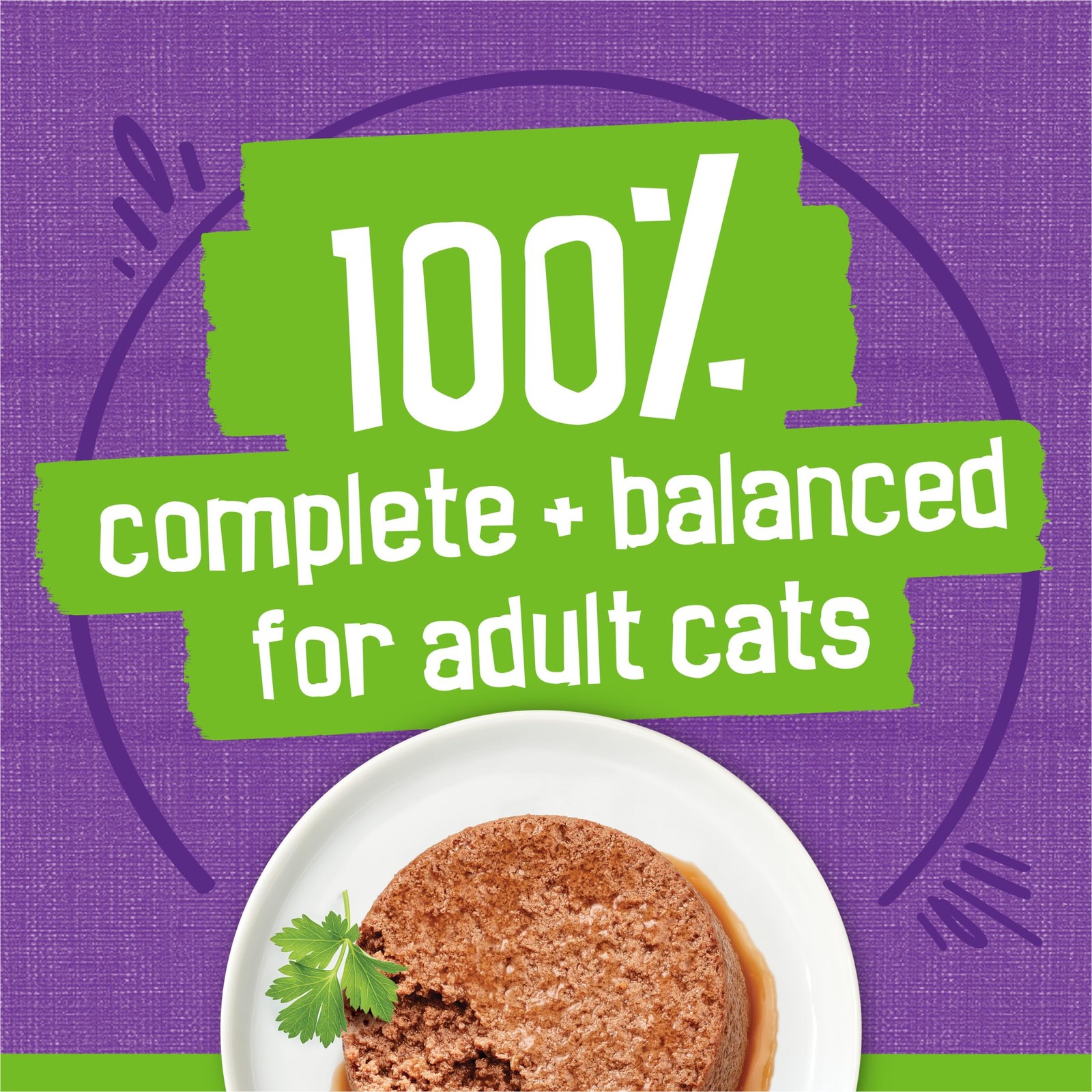 Purina Friskies Wet Cat Food Pate Turkey and Giblets Dinner Pack of 24 5.5 oz