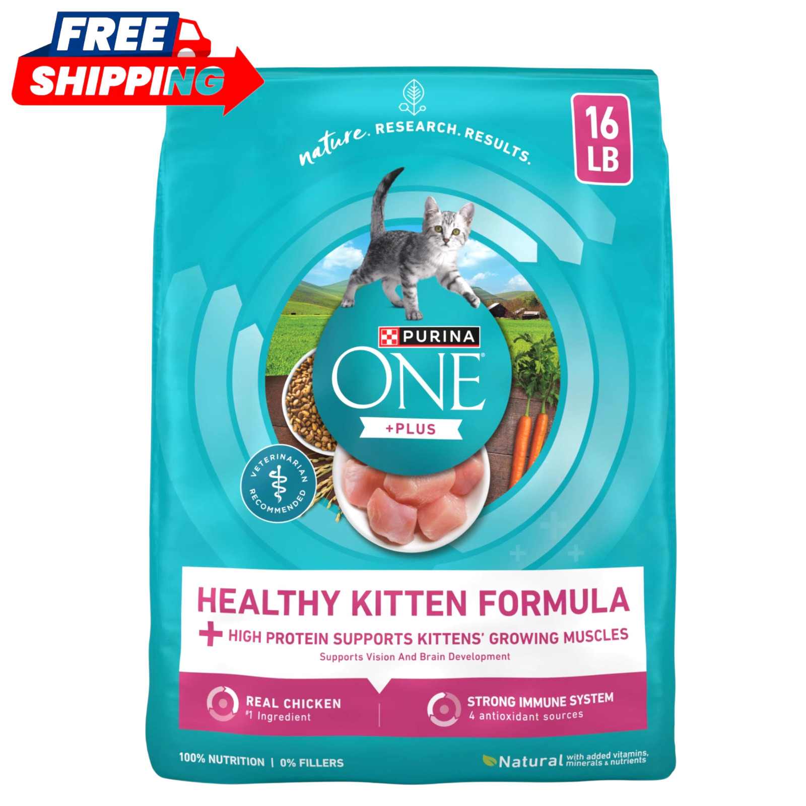 Purina ONE Healthy Kitten Formula Dry Cat Food Chicken High Protein 16 lb