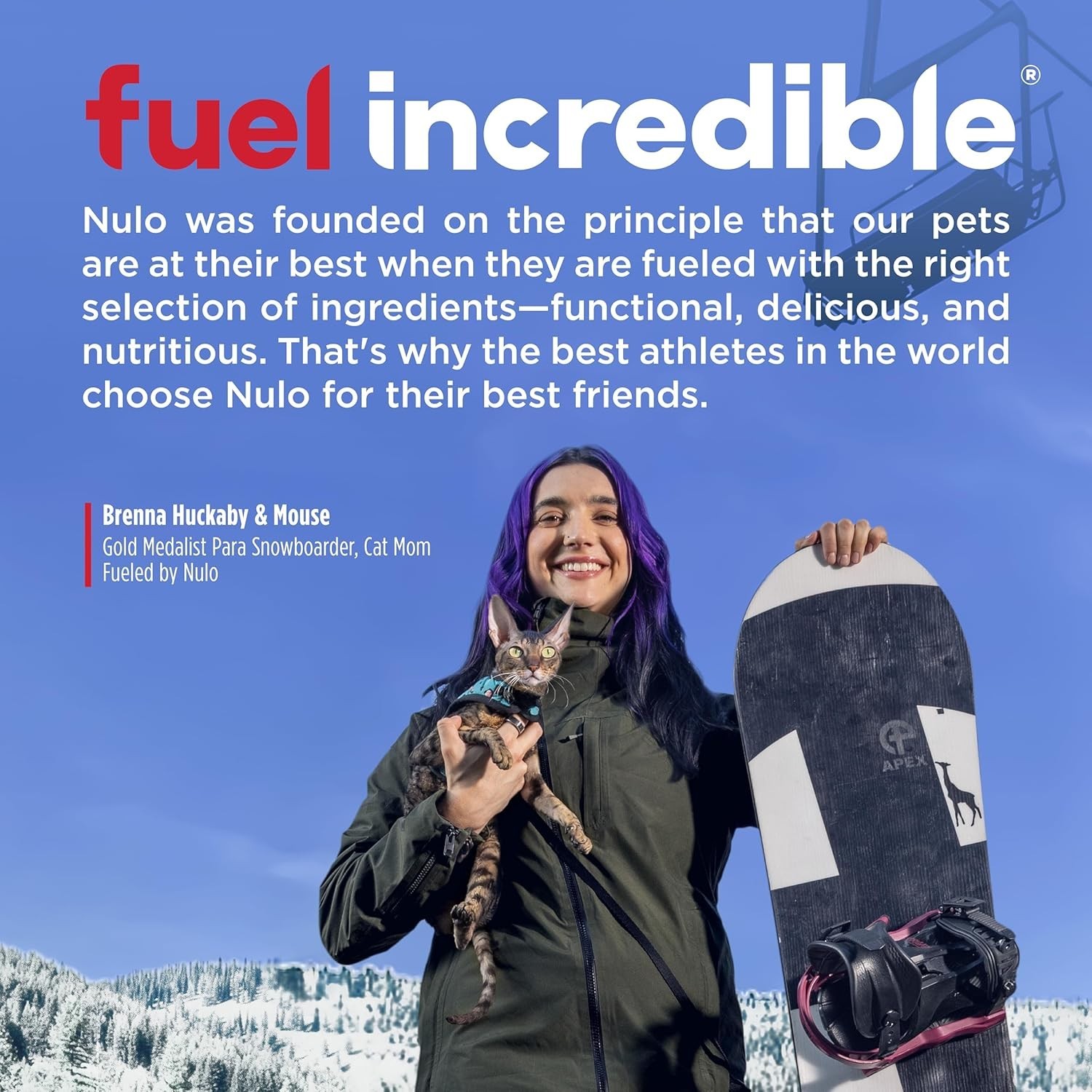 Nulo Freestyle Cat & Kitten Dry Food – Chicken & Cod Recipe, High Protein Grain