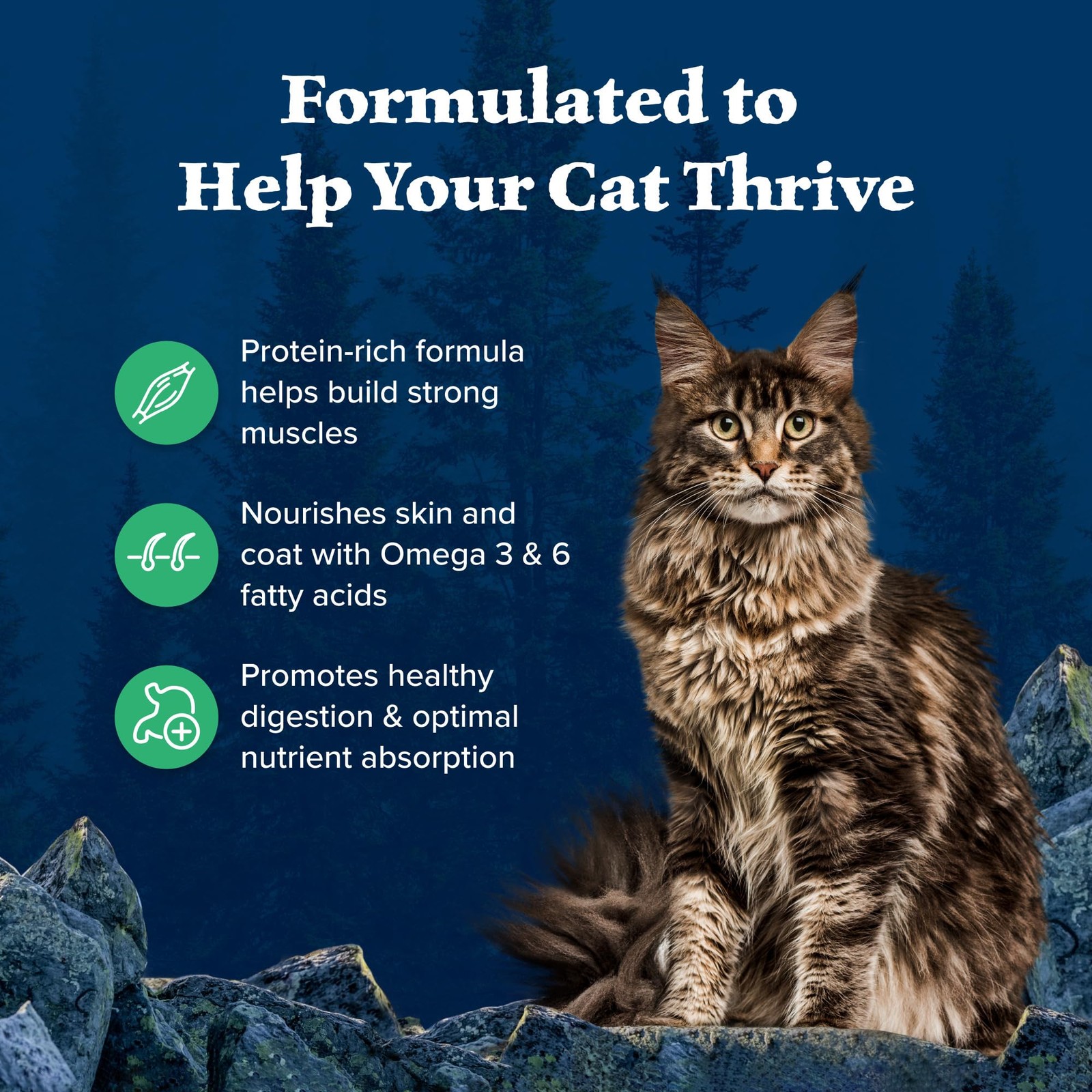 Blue Buffalo Wilderness Healthy Adult Dry Cat Food, Supports Health and Welln…
