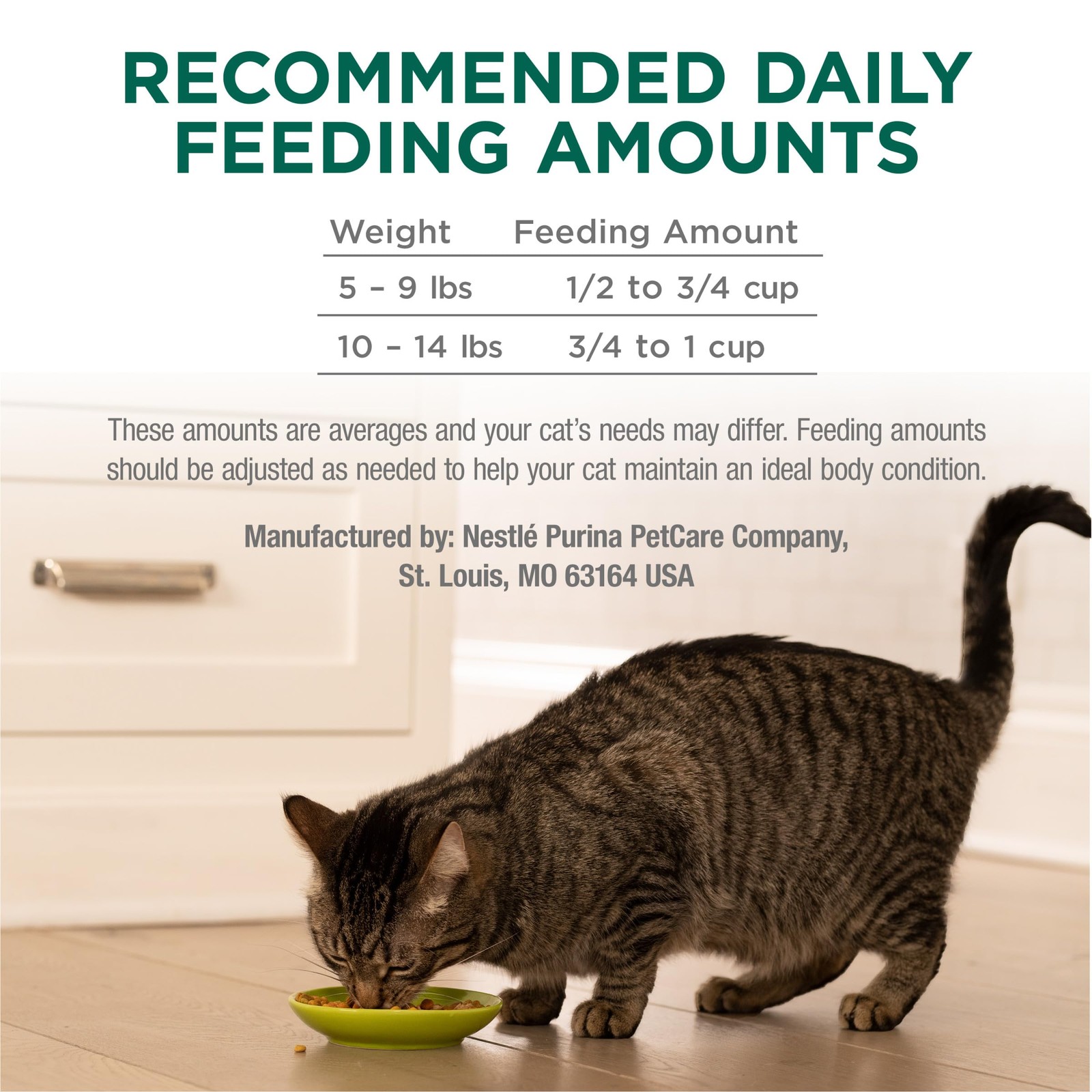 Naturals With Added Vitamins, Minerals and Nutrients Dry Cat Food, Naturals O…