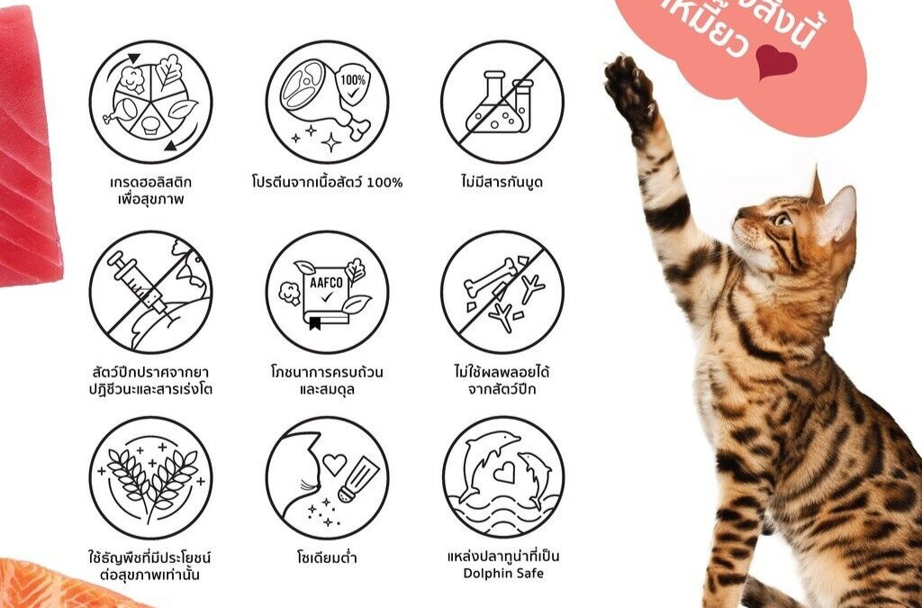 RonRon wet cat food, Holistic grade, size 75 grams.
