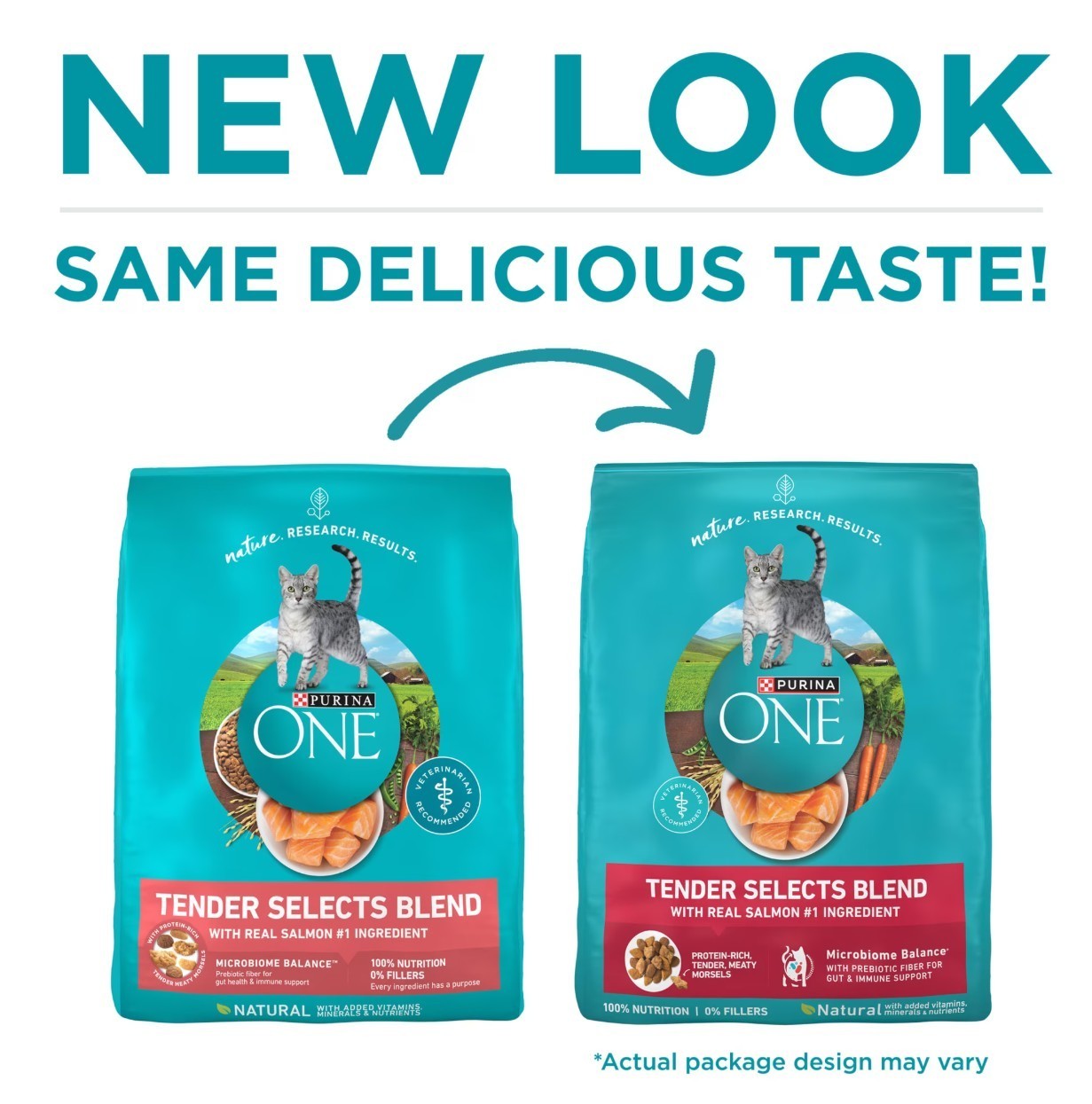 Purina ONE Tender Selects Blend Salmon Flavor Dry Cat Food, 22 lb Bag