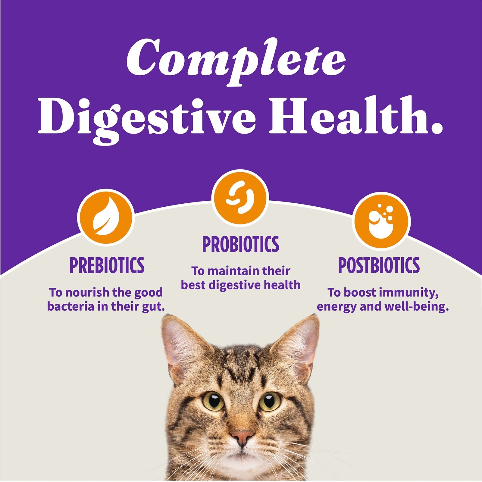 Halo Holistic Indoor Cat Food Dry, Grain Free Cage-free Chicken Recipe for he…