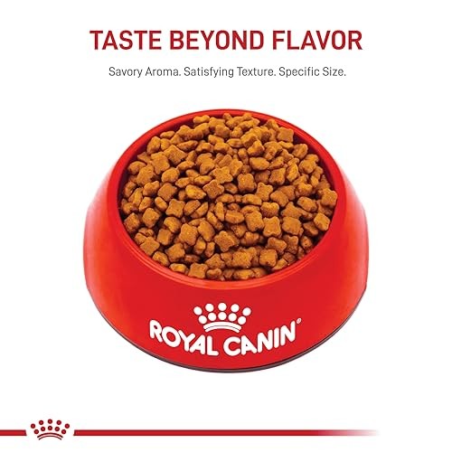 Royal Canin Feline Health Nutrition Kitten Dry Cat Food, 3 Pound (Pack of 1)