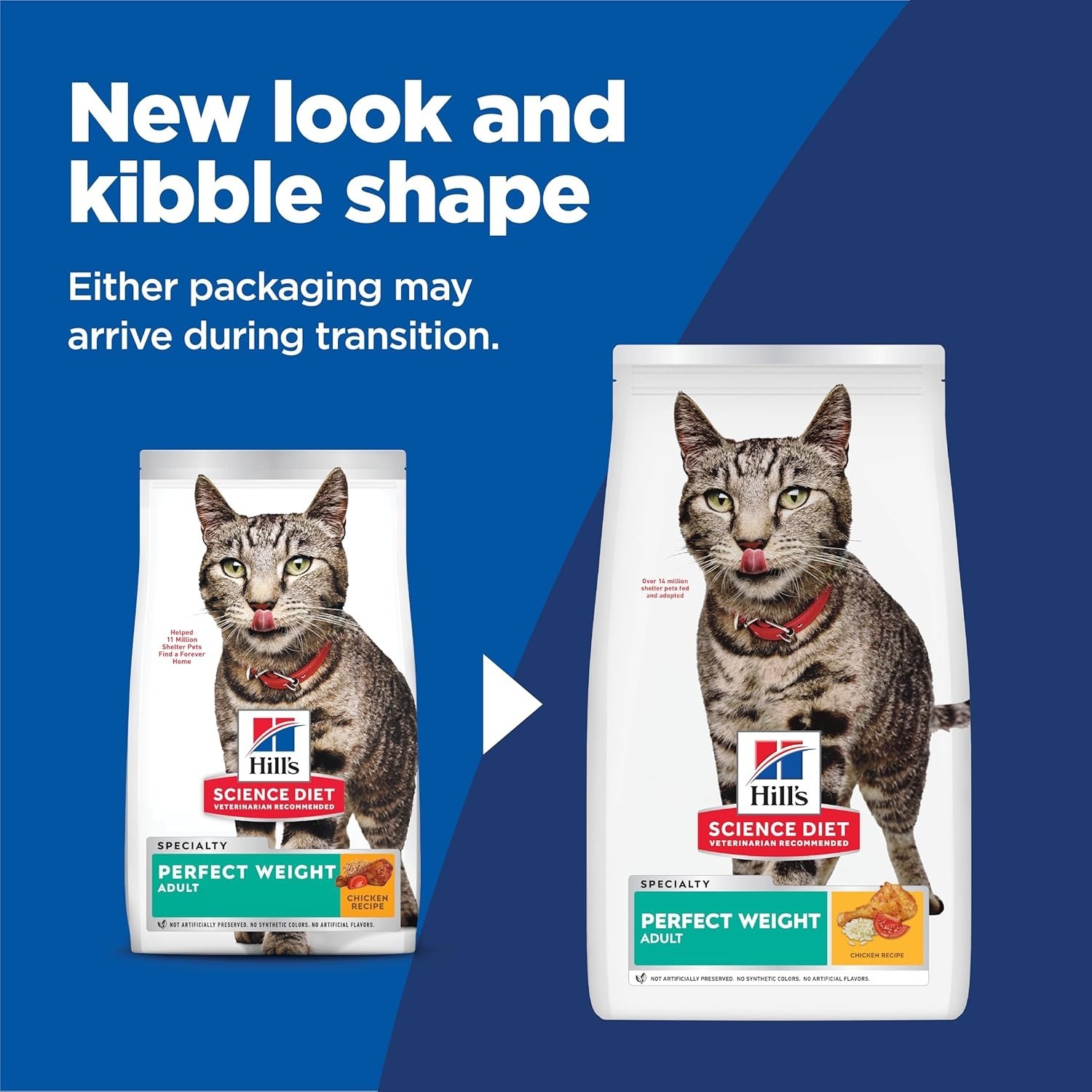 Adult Dry Cat Food Chicken 3 lb Bag Weight Management Lean Muscle Support