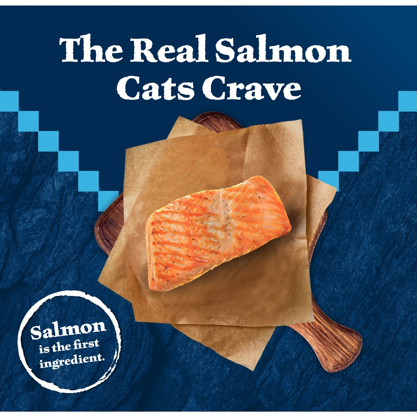 Blue Buffalo Wilderness Salmon Grain Free Adult Dry Cat Food 11 lb Bag…(wa)