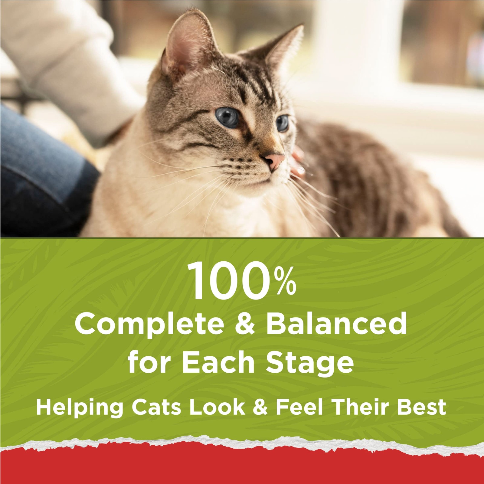Purina Cat Chow Naturals With Added Vitamins, Minerals and Nutrients Dry Cat …