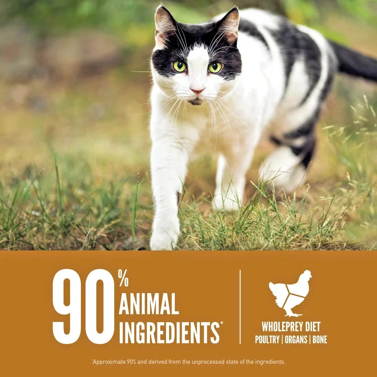 Orijen Original Grain-Free Dry Cat Food – 12 lb Bag