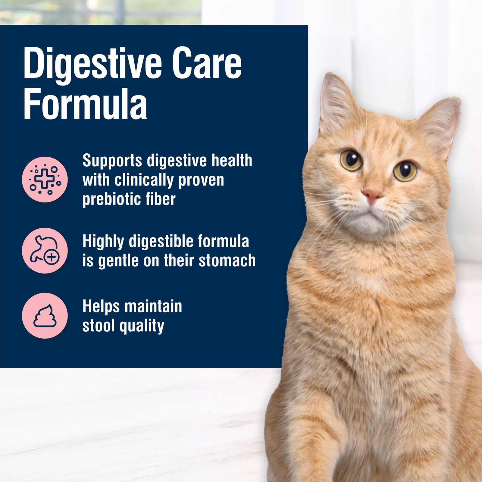 Blue Buffalo True Solutions Digestive Care Natural Dry 3.5 Pound (Pack of 1)
