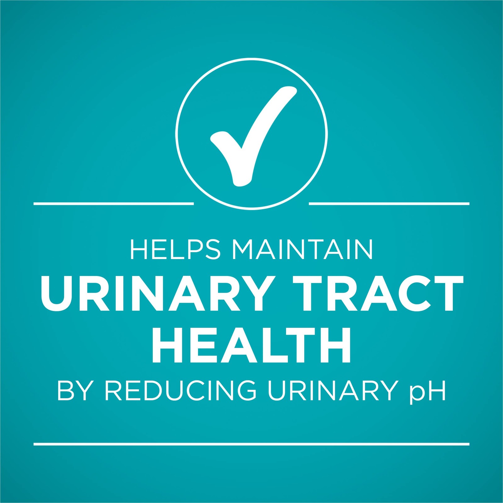 Purina ONE Urinary Tract Health, Natural Pate Wet Cat 3 Ounce (Pack of 24)