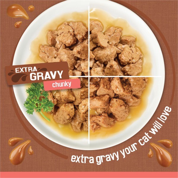Extra Gravy Chunky Chicken, Turkey, Salmon & Beef Wet Cat Food