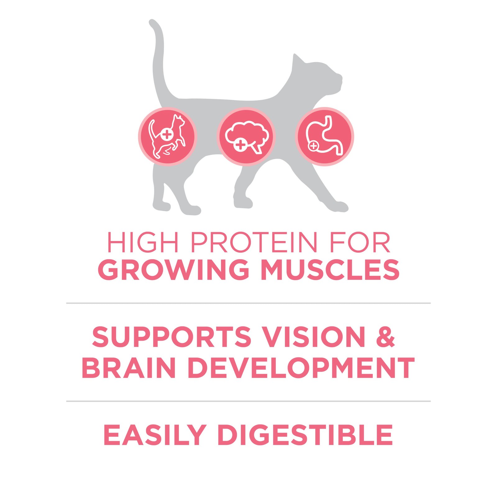 Purina ONE High Protein, Natural Dry Kitten 3.5 Pound (Pack of 1), Other