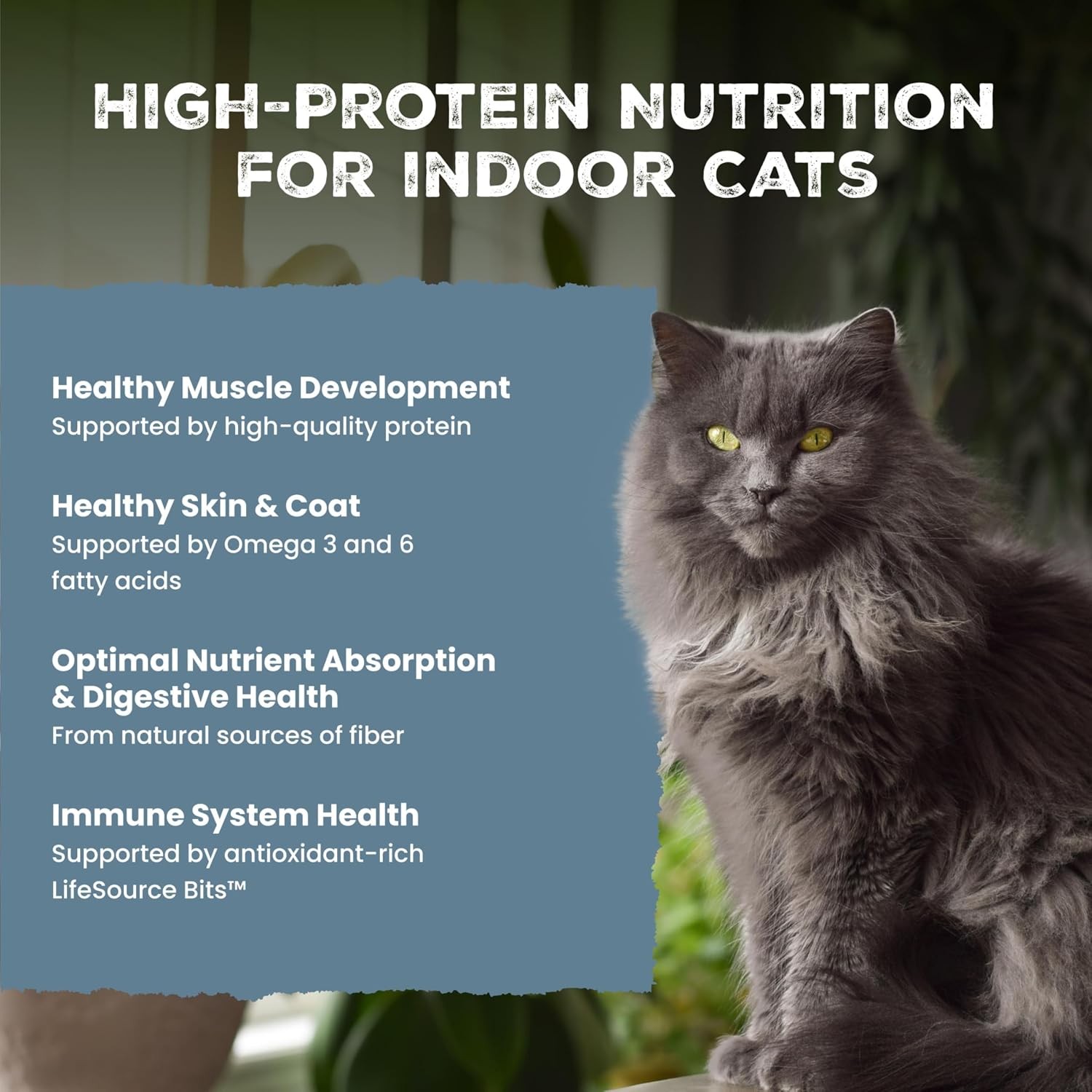 Blue Buffalo Wilderness Grain Free Chicken Adult Indoor Dry Cat Food 15lb