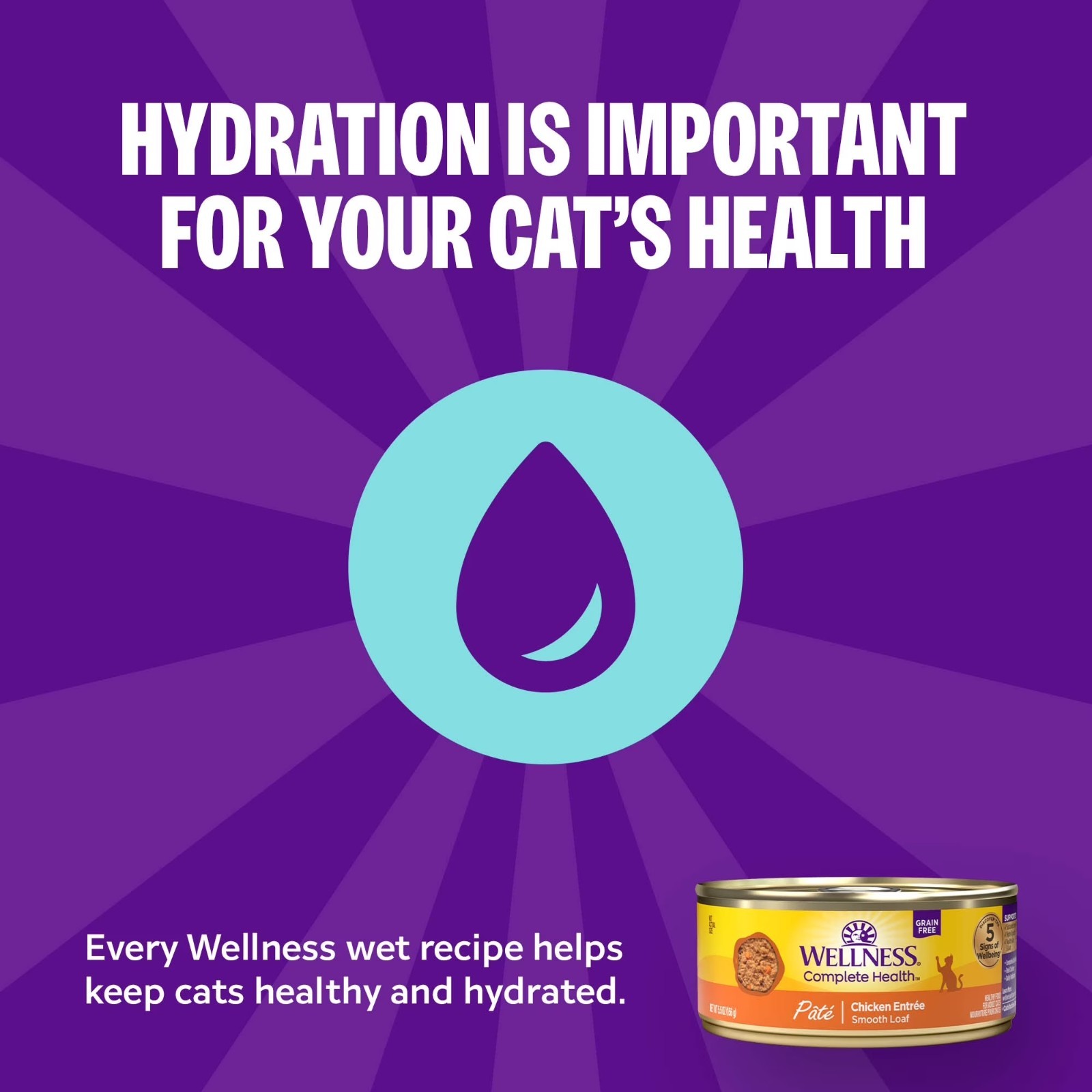 Wellness Complete Health Pate Kitten Wet Cat Food, Natural, Protein-Rich,24 Pack